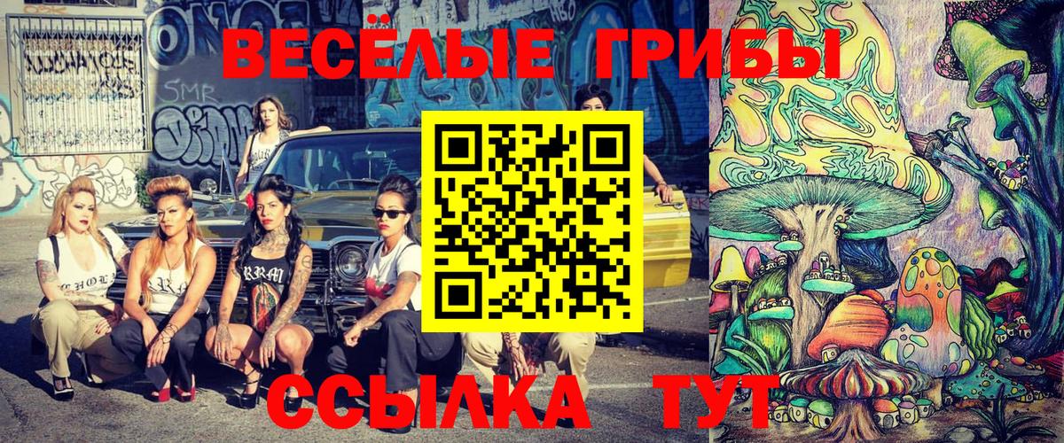 Галлюциногенные грибы ЛСД  Вход с VPN  Муравленко  Псилоцибиновые грибы Psilocybe 